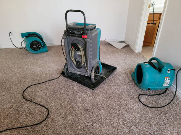 Best Sewage cleanup and water damage restoration  in Pisgah, AL