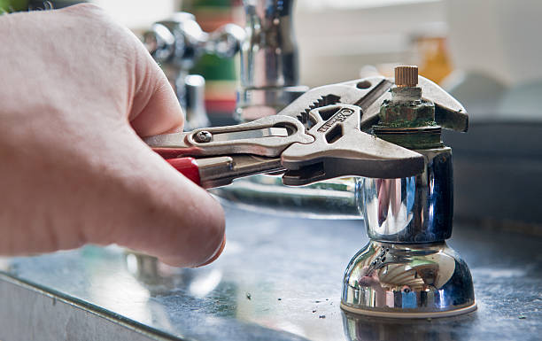 Best Ceiling water damage repair  in Pisgah, AL