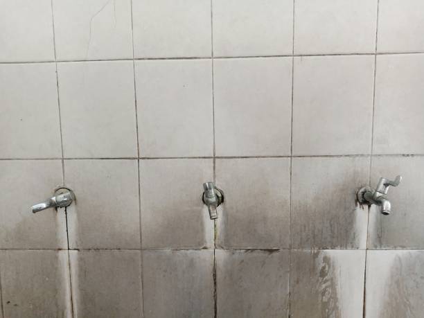 Best Carpet water damage restoration  in Pisgah, AL