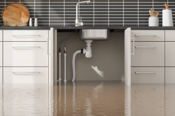 Best Local water damage restoration  in Pisgah, AL