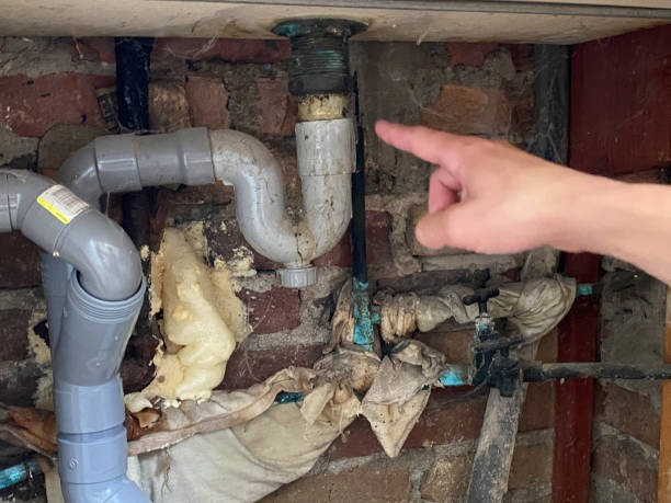 Best Flood damage cleanup  in Pisgah, AL