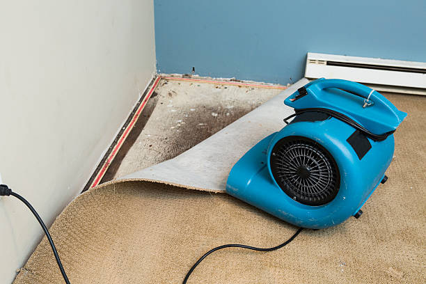 Best Residential water damage restoration  in Pisgah, AL