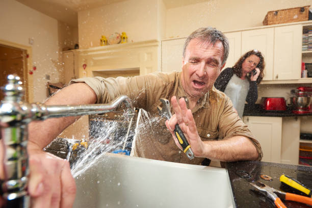 Best Basement water damage restoration  in Pisgah, AL